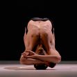 ‘Danza a Escena’ celebra su decimotercera edición con 24 compañías y 125 representaciones