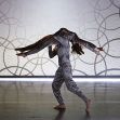  ‘Danza a Escena 2021’ se despide del Teatro Circo de Murcia de la mano de Roseland Musical